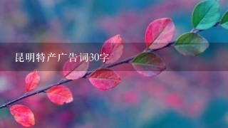 昆明特产广告词30字 昆明特产广告词30字