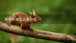 腊肉火腿怎么做好吃 腊肉火腿怎么做好吃
