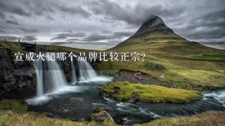 宣威火腿哪个品牌比较正宗? 宣威火腿哪个品牌比较正宗?
