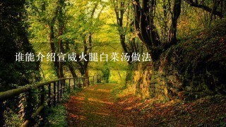 谁能介绍宣威火腿白菜汤做法 谁能介绍宣威火腿白菜汤做法