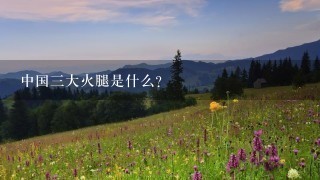 中国三大火腿是什么? 中国三大火腿是什么?