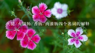 火腿/火腿肠/香肠/肉灌肠四个名词的解释 火腿/火腿肠/香肠/肉灌肠四个名词的解释