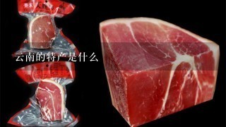 云南的特产是什么 云南的特产是什么