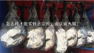 怎么样才能买到正宗的云南宣威火腿? 怎么样才能买到正宗的云南宣威火腿?