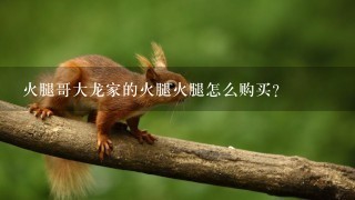 火腿哥大龙家的火腿火腿怎么购买? 火腿哥大龙家的火腿火腿怎么购买?