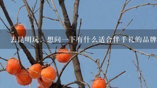 去昆明玩,想问一下有什么适合伴手礼的品牌呀~ 去昆明玩,想问一下有什么适合伴手礼的品牌呀~