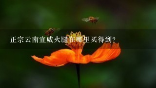 正宗云南宣威火腿在哪里买得到? 正宗云南宣威火腿在哪里买得到?
