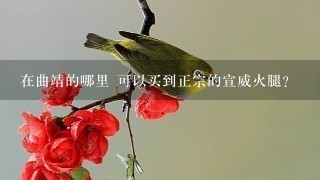 在曲靖的哪里 可以买到正宗的宣威火腿? 在曲靖的哪里 可以买到正宗的宣威火腿?