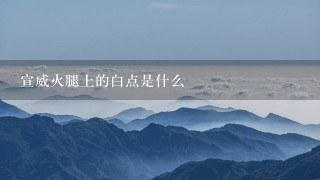 宣威火腿上的白点是什么 宣威火腿上的白点是什么
