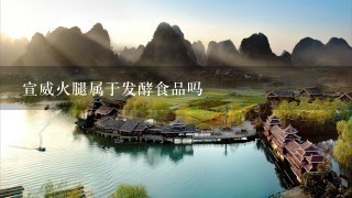 宣威火腿属于发酵食品吗 宣威火腿属于发酵食品吗