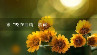 求“吃在曲靖”歌词 求“吃在曲靖”歌词