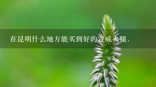 在昆明什么地方能买到好的宣威火腿. 在昆明什么地方能买到好的宣威火腿.