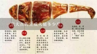 一只大点的宣威火腿多少斤 一只大点的宣威火腿多少斤