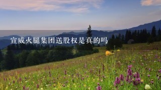 宣威火腿集团送股权是真的吗 宣威火腿集团送股权是真的吗