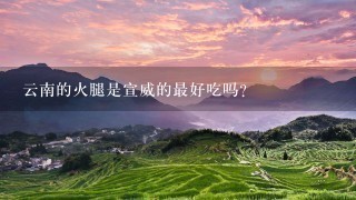 云南的火腿是宣威的最好吃吗? 云南的火腿是宣威的最好吃吗?