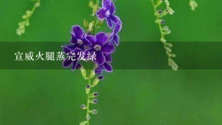 宣威火腿蒸完发绿 宣威火腿蒸完发绿