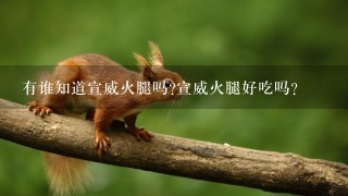 有谁知道宣威火腿吗?宣威火腿好吃吗? 有谁知道宣威火腿吗?宣威火腿好吃吗?