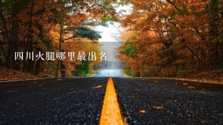 四川火腿哪里最出名 四川火腿哪里最出名