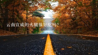 云南宣威的火腿很好吃吗? 云南宣威的火腿很好吃吗?