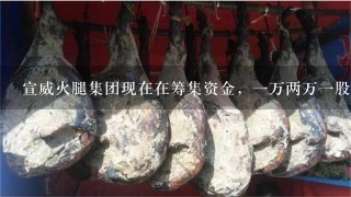 宣威火腿集团现在在筹集资金,一万两万一股,买两万有<br/>1、6万的期权股,然后有2万商城购物,然后公司打 宣威火腿集团现在在筹集资金,一万两万一股,买两万有<br/>1、6万的期权股,然后有2万商城购物,然后公司打