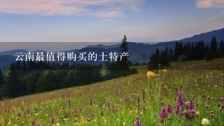 云南最值得购买的土特产 云南最值得购买的土特产