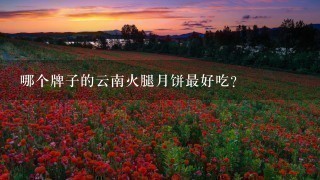 哪个牌子的云南火腿月饼最好吃? 哪个牌子的云南火腿月饼最好吃?