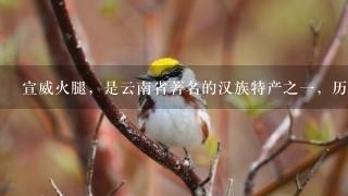 宣威火腿,是云南省著名的汉族特产之一,历史悠久,因其产地而得名。() 宣威火腿,是云南省著名的汉族特产之一,历史悠久,因其产地而得名。()