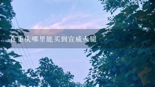 在重庆哪里能买到宣威火腿 在重庆哪里能买到宣威火腿