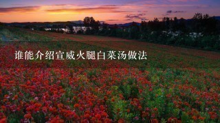 谁能介绍宣威火腿白菜汤做法 谁能介绍宣威火腿白菜汤做法