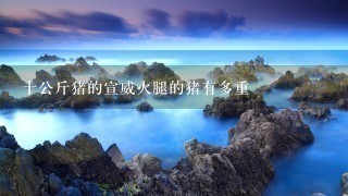 十公斤猪的宣威火腿的猪有多重 十公斤猪的宣威火腿的猪有多重