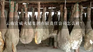 云南宣威火腿集团有限责任公司怎么样? 云南宣威火腿集团有限责任公司怎么样?