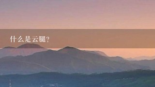什么是云腿? 什么是云腿?