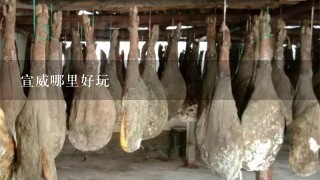 宣威哪里好玩 宣威哪里好玩
