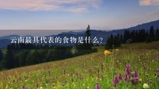云南最具代表的食物是什么? 云南最具代表的食物是什么?