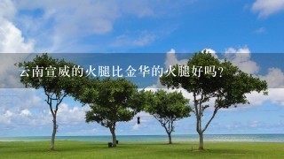 云南宣威的火腿比金华的火腿好吗? 云南宣威的火腿比金华的火腿好吗?
