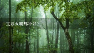 宣威火腿哪种好? 宣威火腿哪种好?