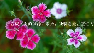 求宣威火腿的渊源,来历,独特之处,烹饪方法,有图 求宣威火腿的渊源,来历,独特之处,烹饪方法,有图