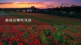 曲靖有哪些风俗 曲靖有哪些风俗