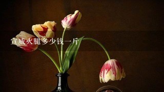 宣威火腿多少钱一斤 宣威火腿多少钱一斤