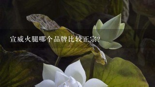 宣威火腿哪个品牌比较正宗? 宣威火腿哪个品牌比较正宗?