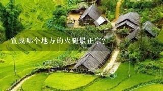 宣威哪个地方的火腿最正宗? 宣威哪个地方的火腿最正宗?