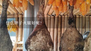 什么牌子火腿好呢? 什么牌子火腿好呢?