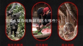 宣威火腿传统腌制方法有哪些? 宣威火腿传统腌制方法有哪些?
