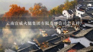 云南宣威火腿集团有限责任公司怎么样? 云南宣威火腿集团有限责任公司怎么样?