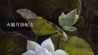 火腿月饼配方 火腿月饼配方