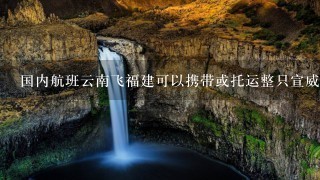 国内航班云南飞福建可以携带或托运整只宣威火腿上飞 国内航班云南飞福建可以携带或托运整只宣威火腿上飞