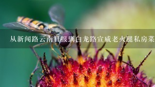 从新闻路云南日报到白龙路宣威老火腿私房菜怎么坐车 从新闻路云南日报到白龙路宣威老火腿私房菜怎么坐车