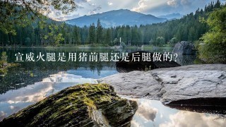 宣威火腿是用猪前腿还是后腿做的? 宣威火腿是用猪前腿还是后腿做的?