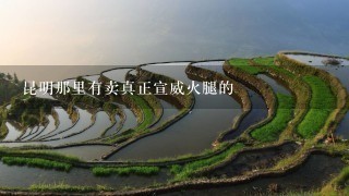 昆明那里有卖真正宣威火腿的 昆明那里有卖真正宣威火腿的