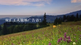 双汇王火腿肠广告语? 双汇王火腿肠广告语?